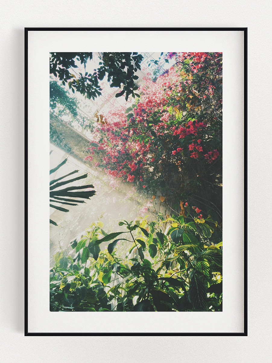Botanic Poster – Stunning art poster print on premium gallery paper, perfect for modern interiors