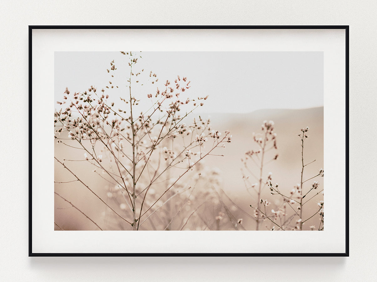 Branches To Walk Poster – Stunning art poster print on premium gallery paper, perfect for modern interiors