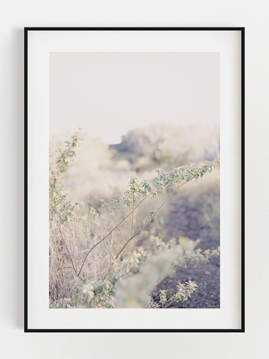 Bush Of Life Poster – Stunning art poster print on premium gallery paper, perfect for modern interiors