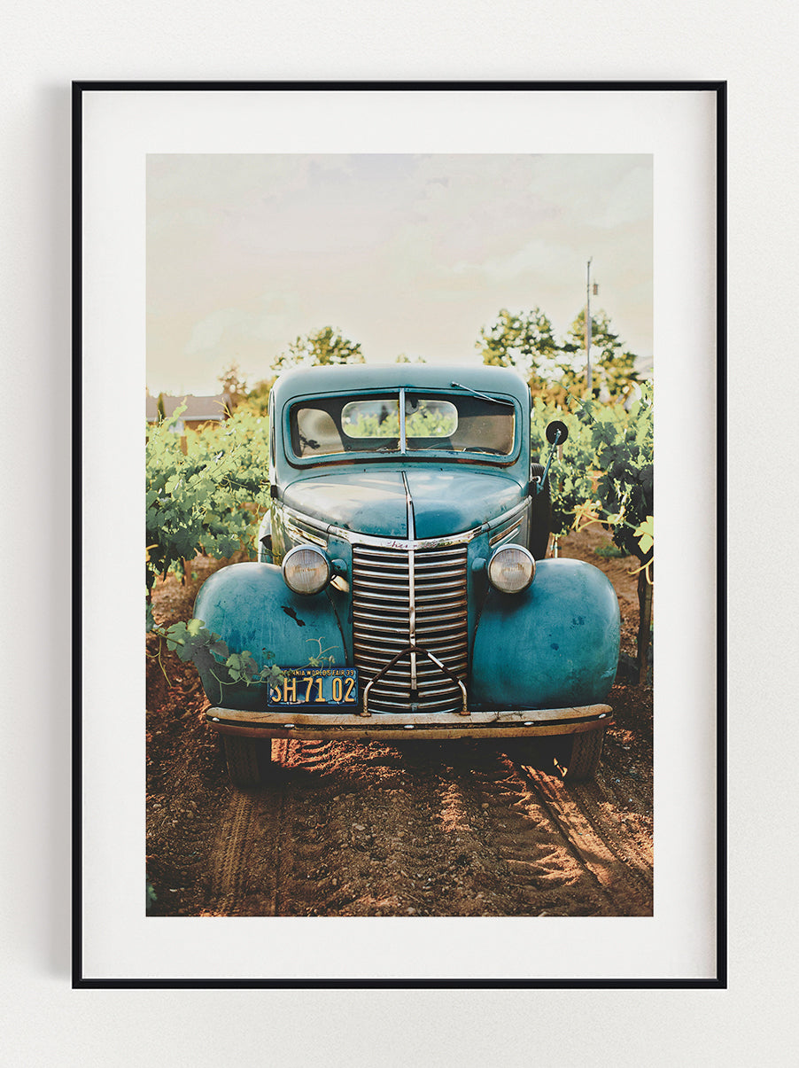 Car In The Vineyard poster – Stunning art poster print on premium gallery paper, perfect for modern interiors
