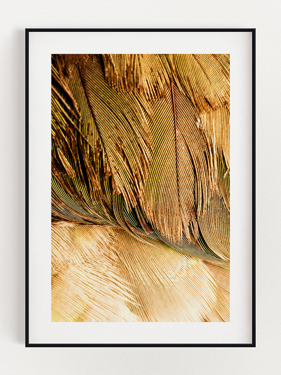Changing Colors Poster – Stunning art poster print on premium gallery paper, perfect for modern interiors