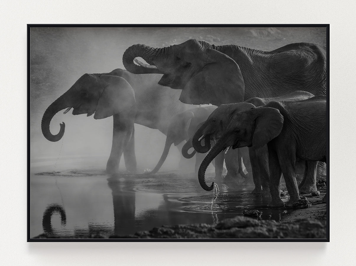 Drinking Elephants Posters – Stunning art poster print on premium gallery paper, perfect for modern interiors