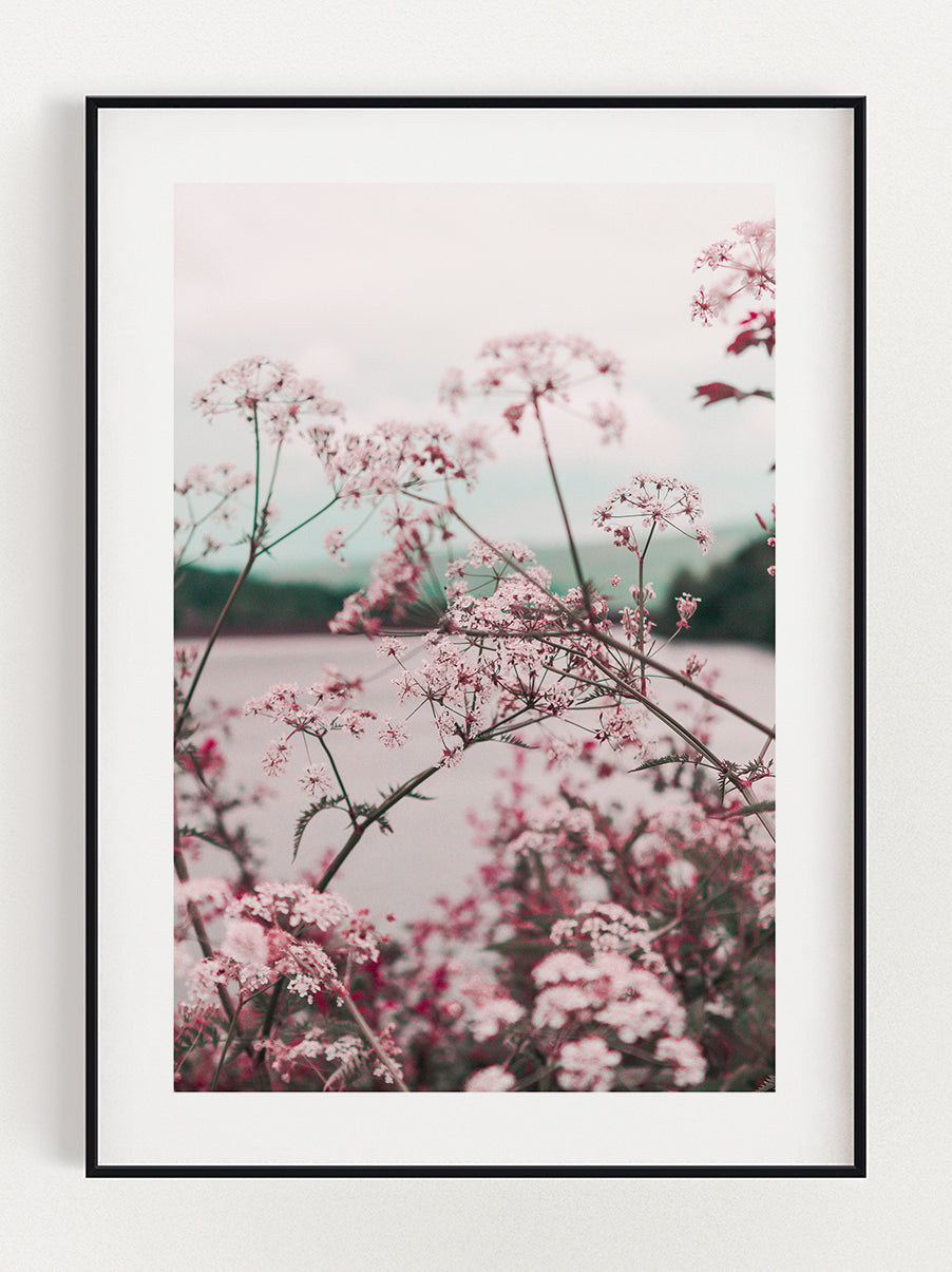 Field Of Flowers Poster – Stunning art poster print on premium gallery paper, perfect for modern interiors