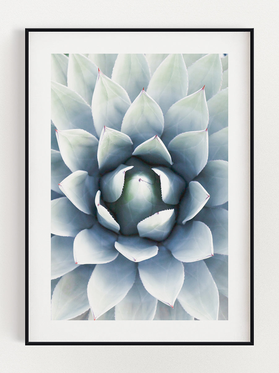Flower Cactus Poster – Stunning art poster print on premium gallery paper, perfect for modern interiors