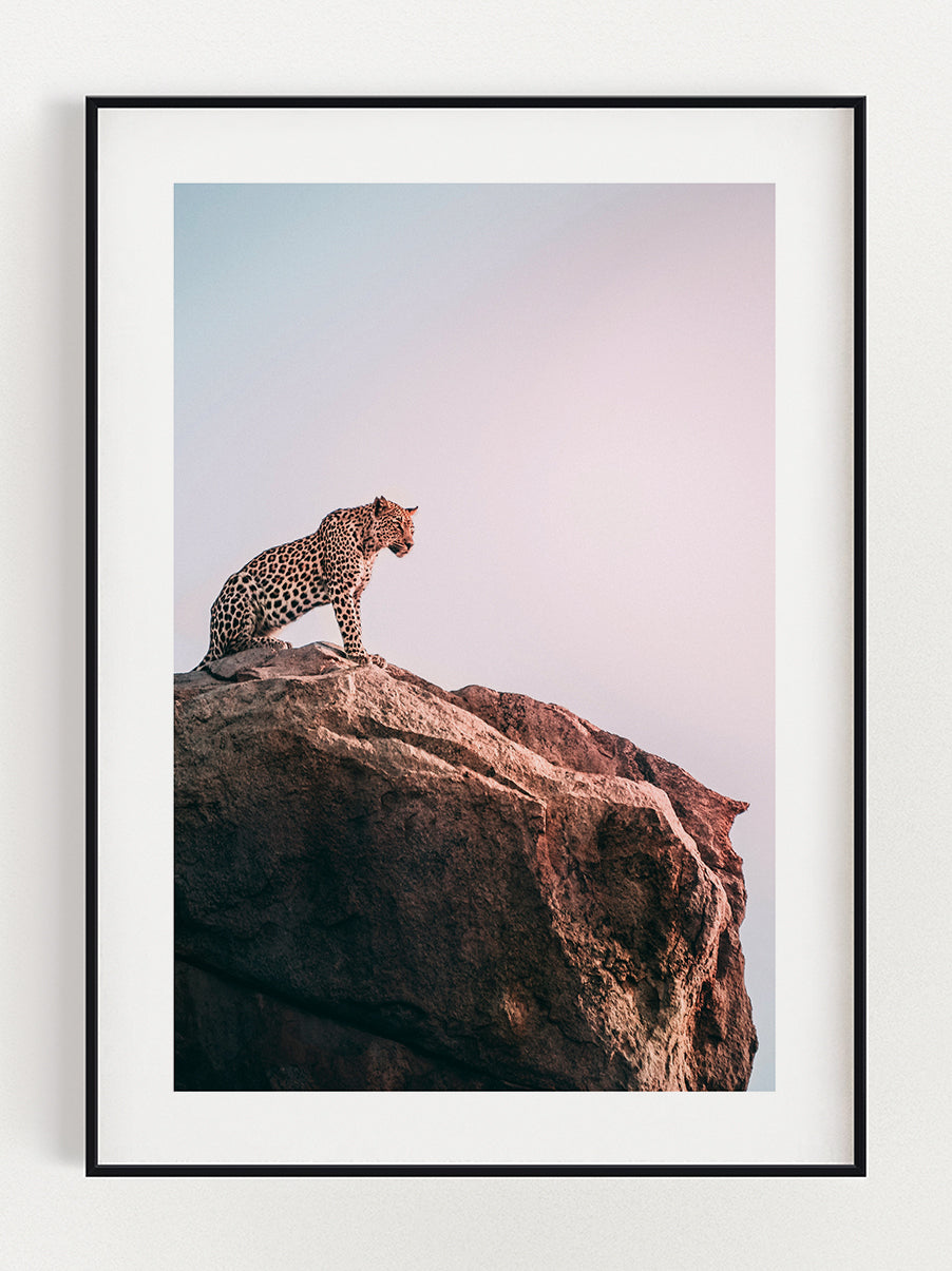 Jaquar On The Rock Poster – Stunning art poster print on premium gallery paper, perfect for modern interiors