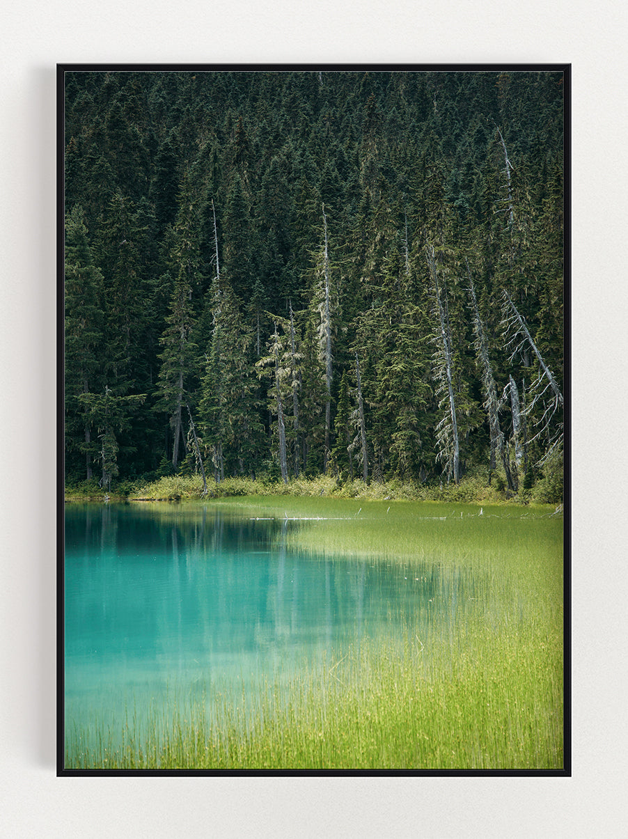 Lake Meets Forest Poster – Stunning art poster print on premium gallery paper, perfect for modern interiors