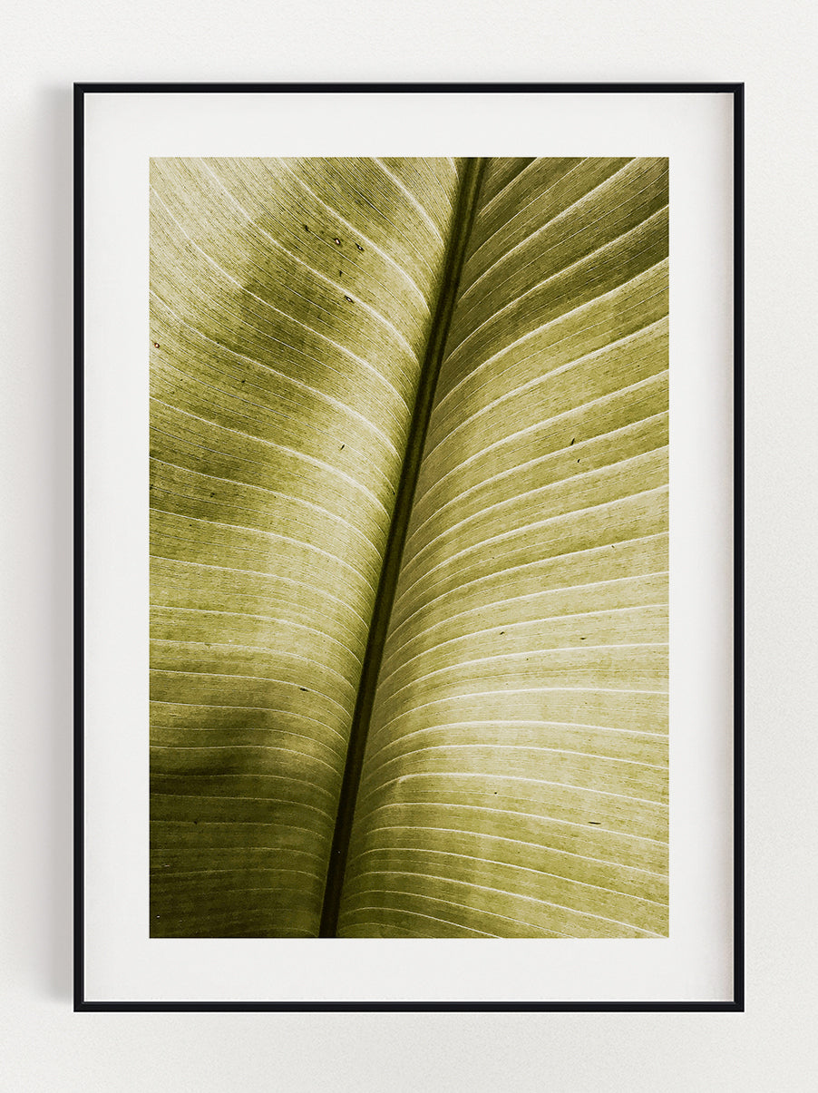 Leaf Poster – Stunning art poster print on premium gallery paper, perfect for modern interiors