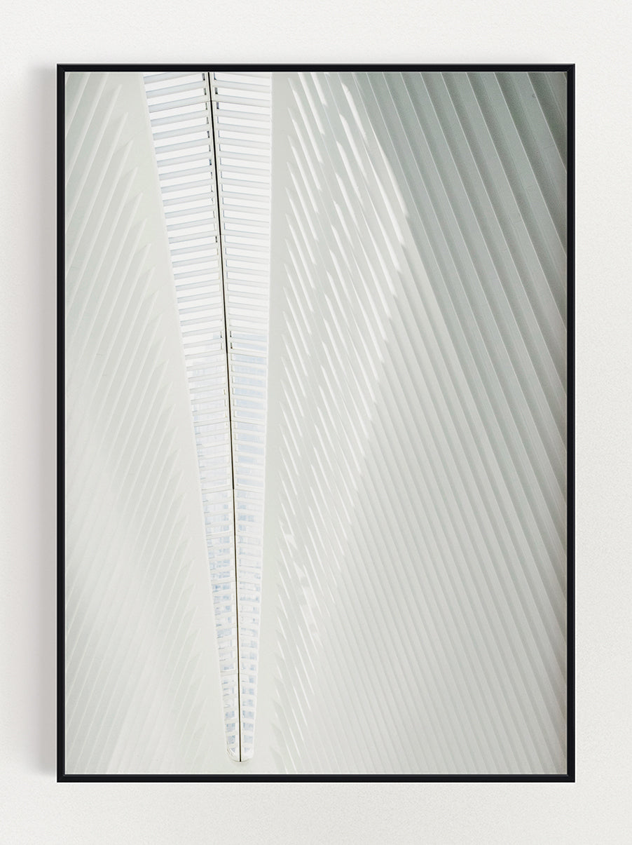 Light Like Spine Poster