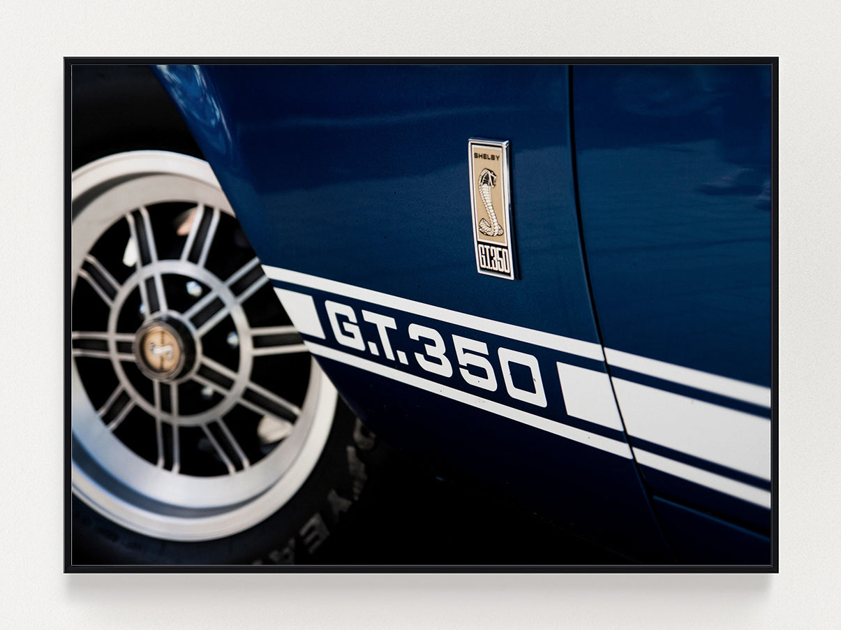 Mustang GT350 Poster – Stunning art poster print on premium gallery paper, perfect for modern interiors