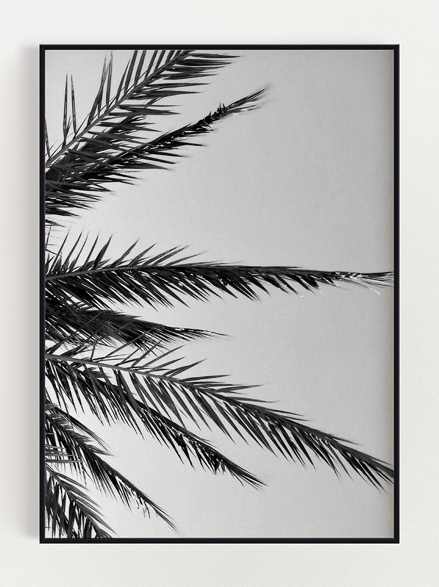 Palm Tree Poster – Stunning art poster print on premium gallery paper, perfect for modern interiors