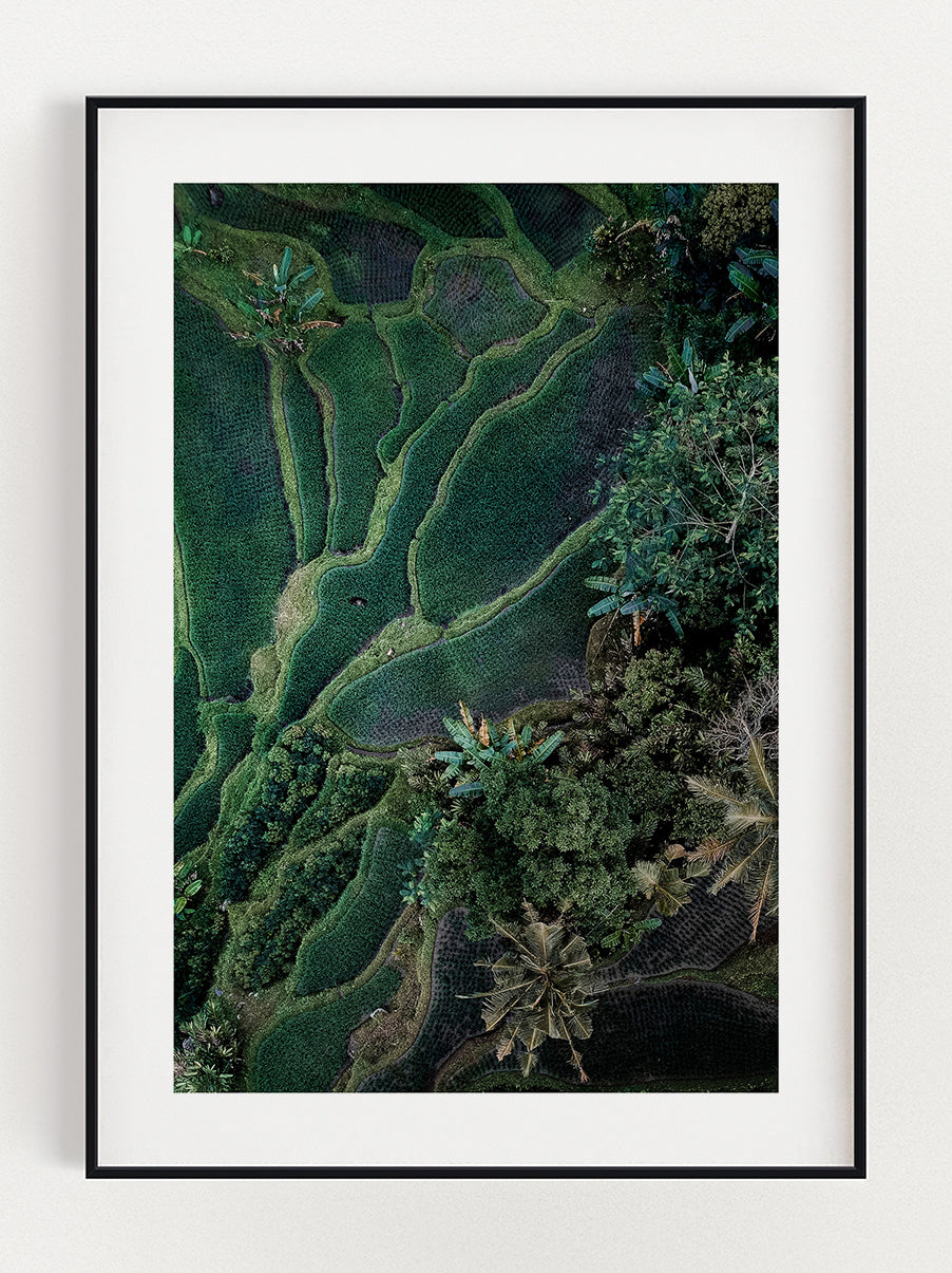 Pattern Field Poster – Stunning art poster print on premium gallery paper, perfect for modern interiors