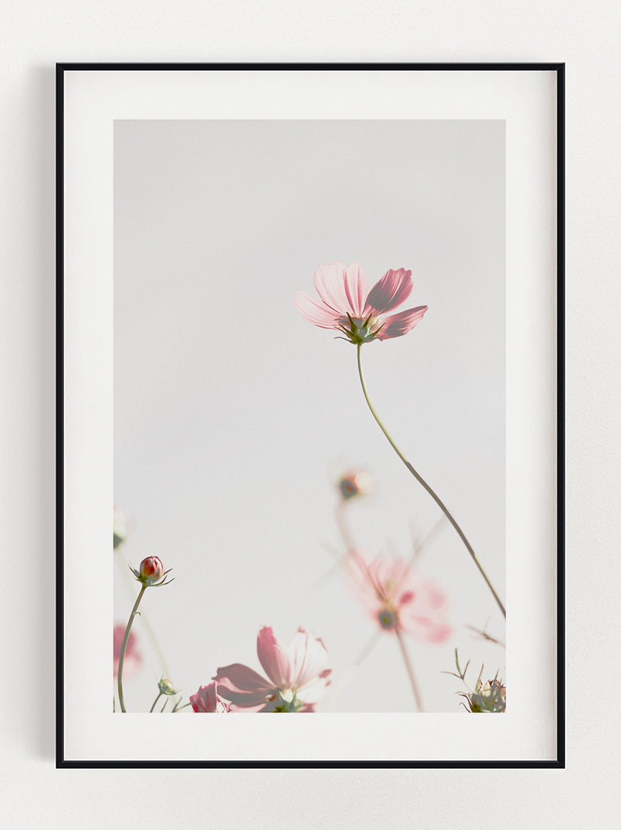 Pink Flower Poster – Stunning art poster print on premium gallery paper, perfect for modern interiors