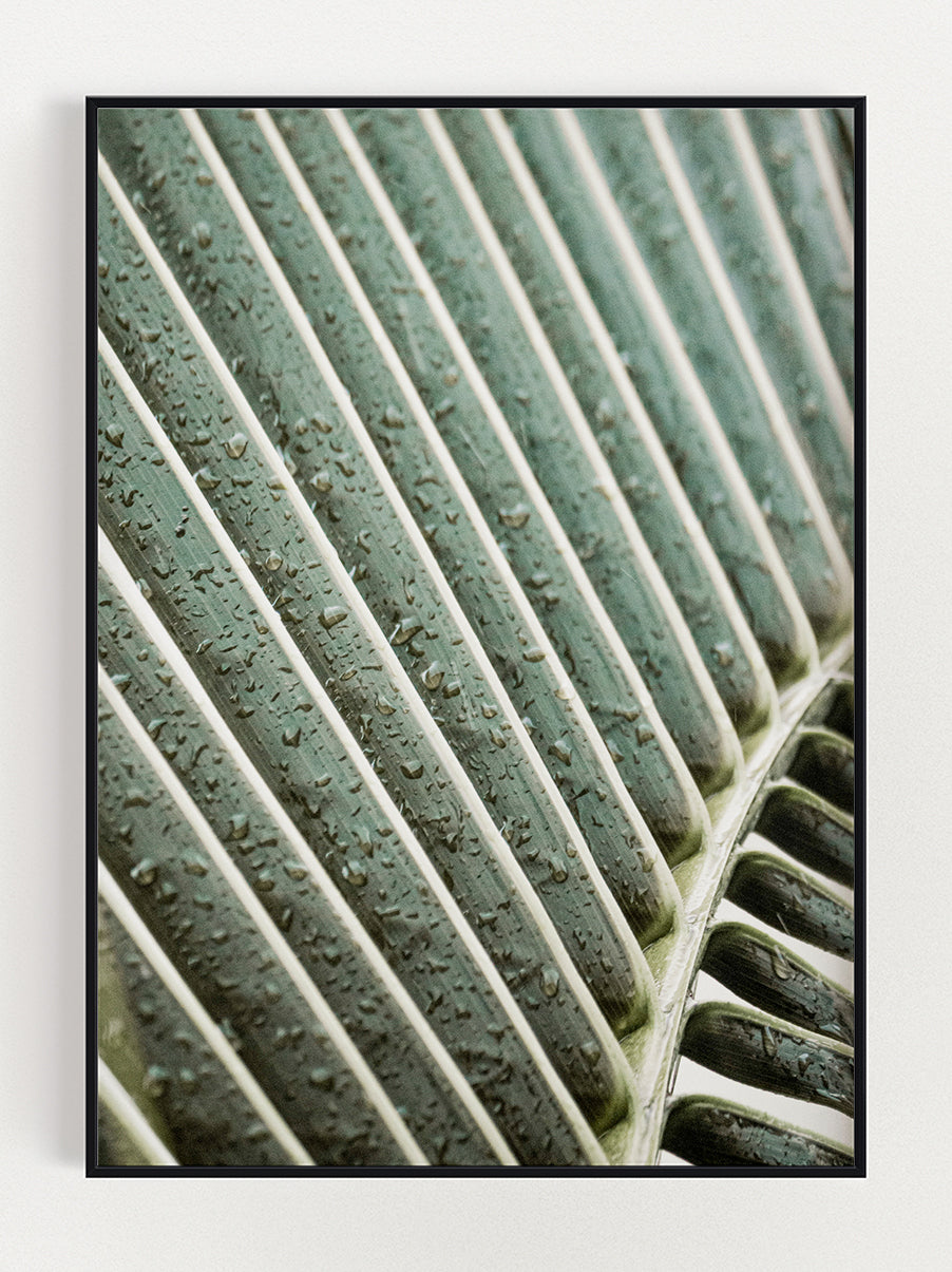 Plant Upclose Poster – Stunning art poster print on premium gallery paper, perfect for modern interiors