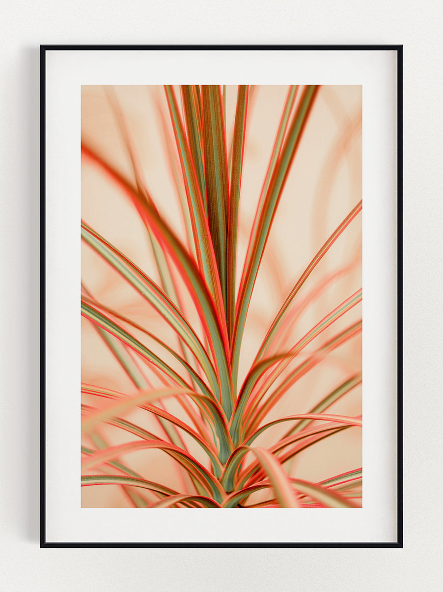 Red Highlight Plant Poster – Stunning art poster print on premium gallery paper, perfect for modern interiors