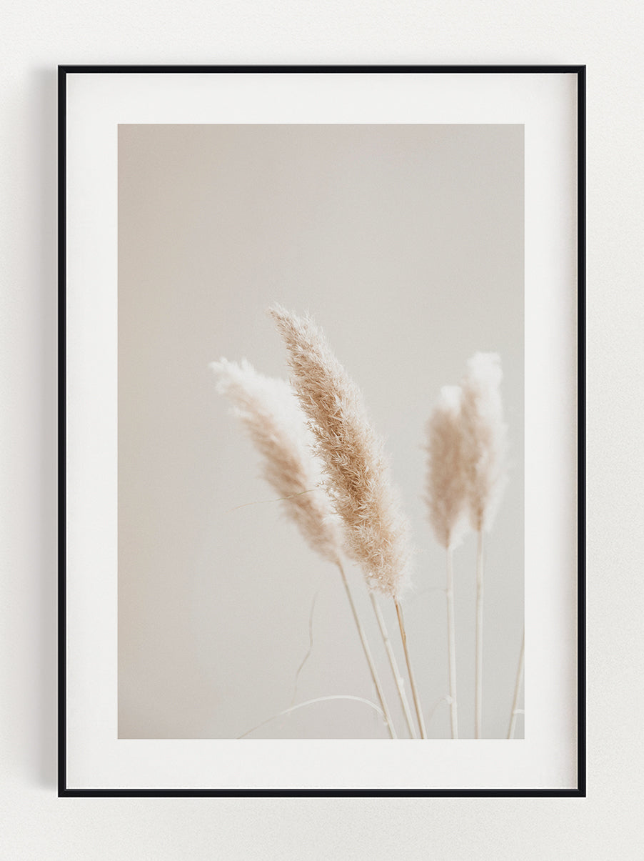 Reed Poster – Stunning art poster print on premium gallery paper, perfect for modern interiors
