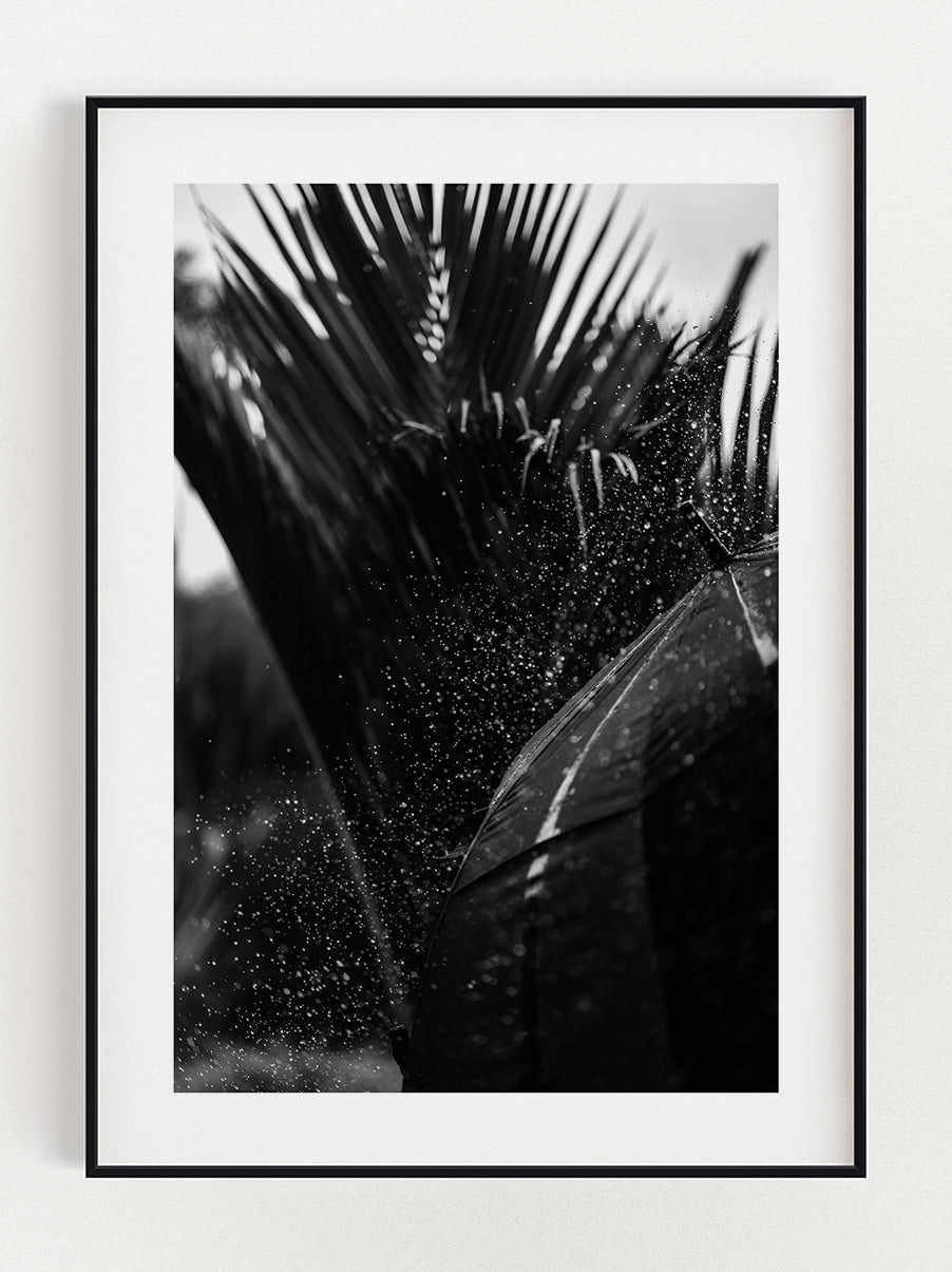 Refeshing Palm Tree Poster – Stunning art poster print on premium gallery paper, perfect for modern interiors