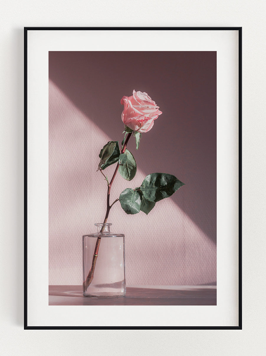 Rose Poster – Stunning art poster print on premium gallery paper, perfect for modern interiors