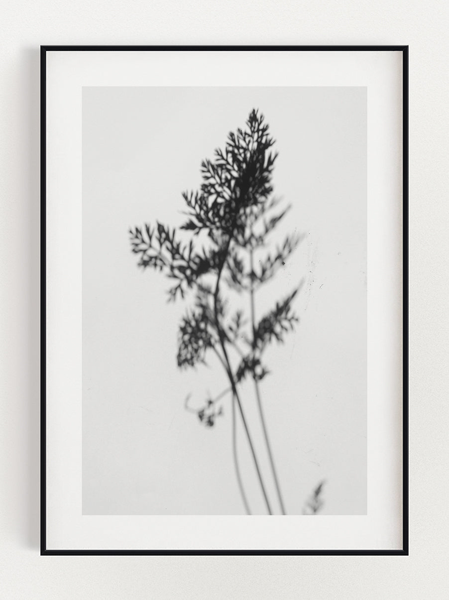 Shadow Leaf Poster – Stunning art poster print on premium gallery paper, perfect for modern interiors