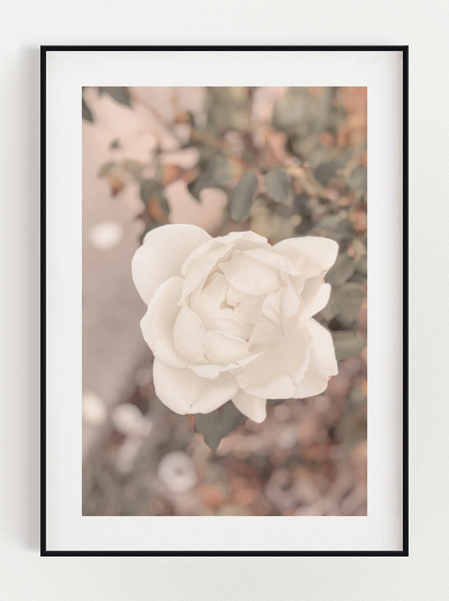 Soft Flower Poster – Stunning art poster print on premium gallery paper, perfect for modern interiors