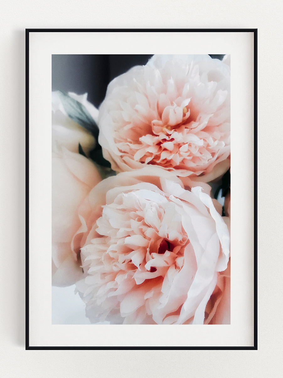 Soft Pink Flower Poster – Stunning art poster print on premium gallery paper, perfect for modern interiors