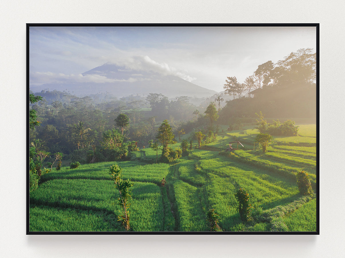 Stunning Field Poster – Stunning art poster print on premium gallery paper, perfect for modern interiors