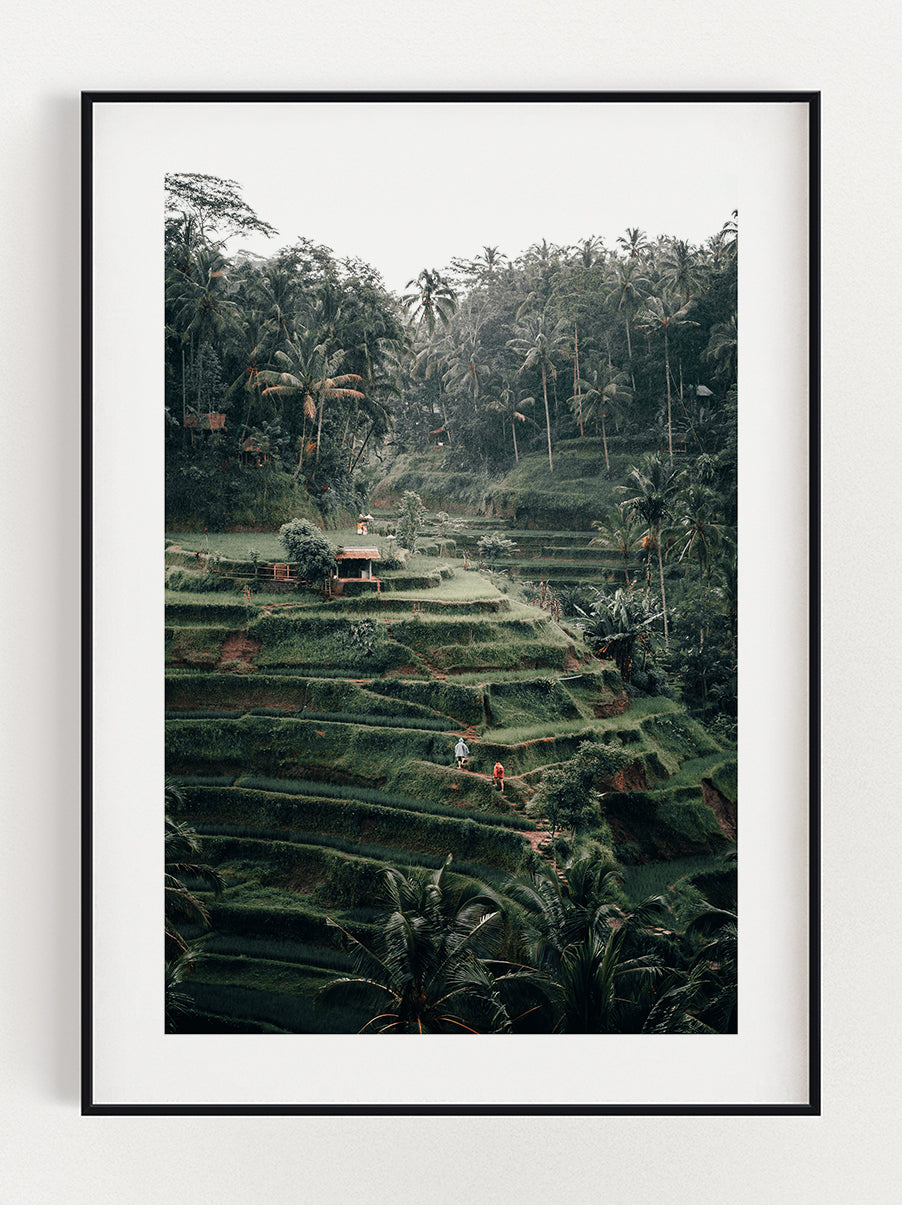 The Beauty Of Nature Poster – Stunning art poster print on premium gallery paper, perfect for modern interiors