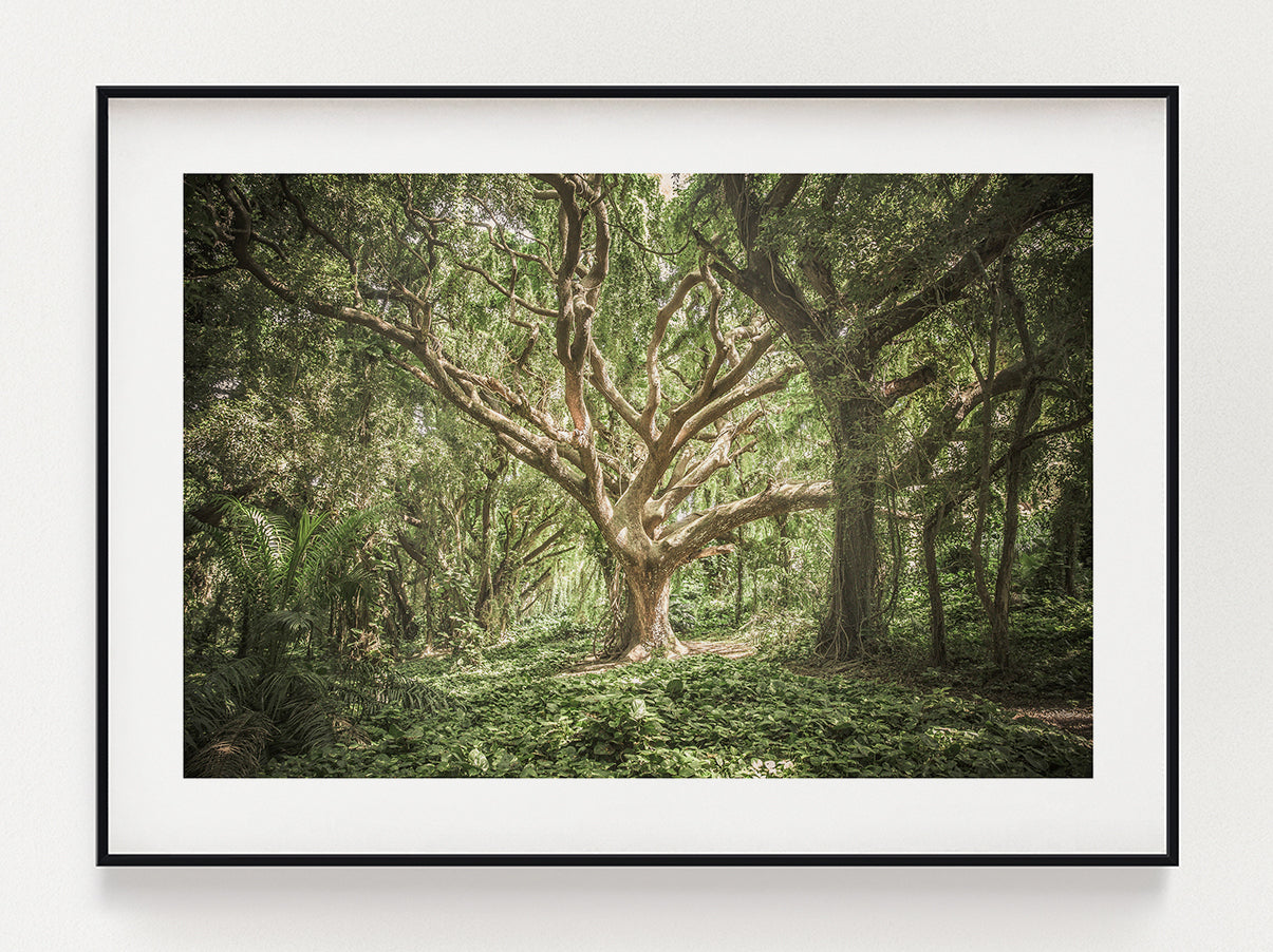 Tree In The Middle Poster – Stunning art poster print on premium gallery paper, perfect for modern interiors