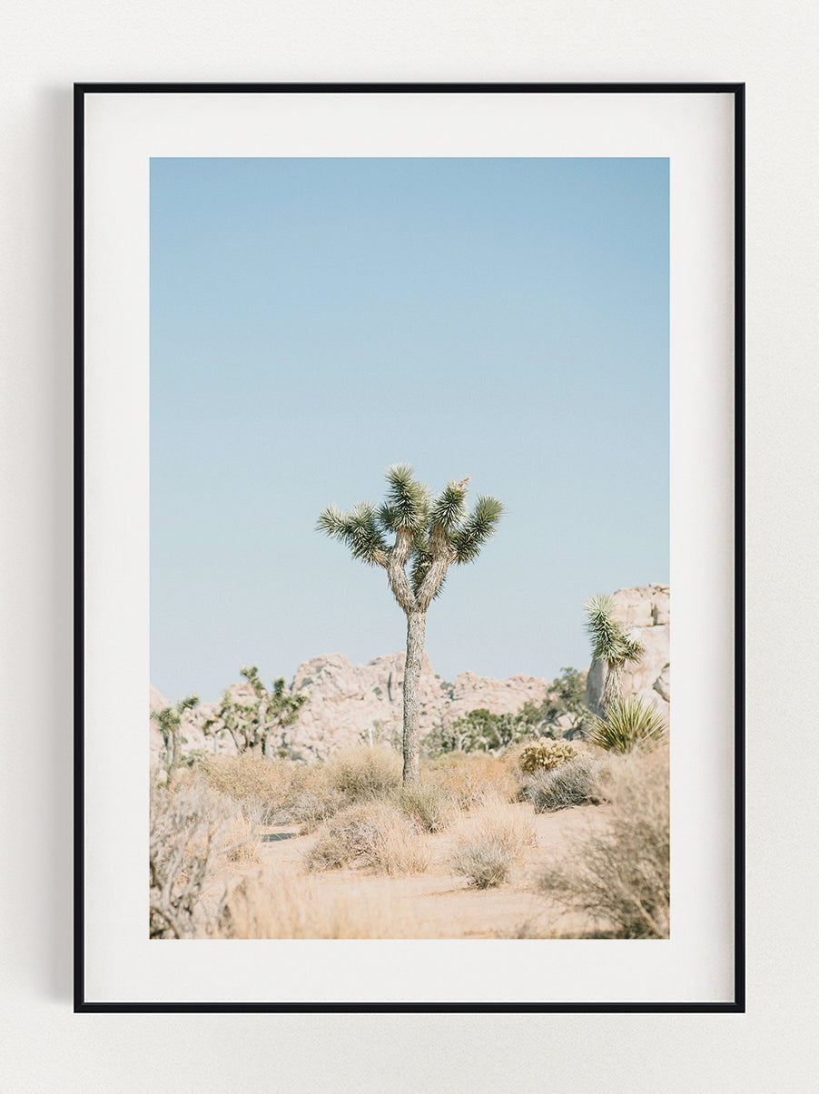 Tree In The Wild Poster – Stunning art poster print on premium gallery paper, perfect for modern interiors