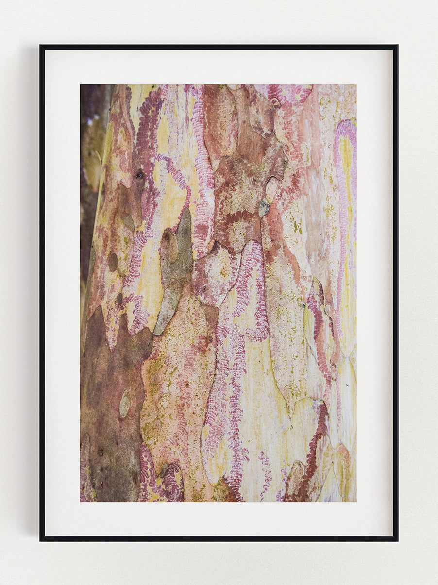 Tree Trunk Poster – Stunning art poster print on premium gallery paper, perfect for modern interiors