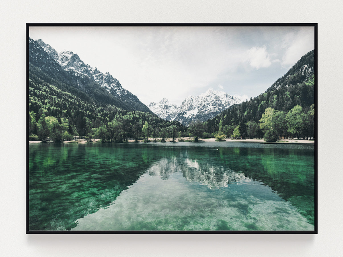 Trees Around Lake Poster – Stunning art poster print on premium gallery paper, perfect for modern interiors
