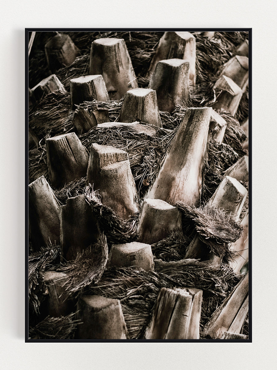 Trunk Poster – Stunning art poster print on premium gallery paper, perfect for modern interiors